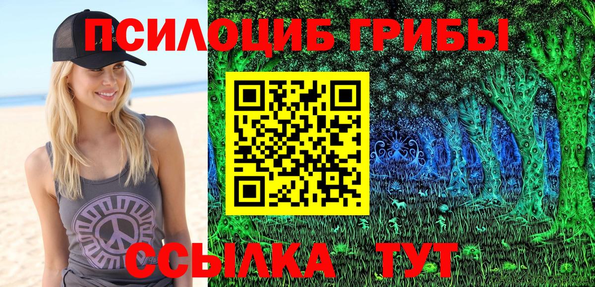 Псилоцибиновые грибы прущие грибы  Вход с VPN  Кирово-Чепецк 